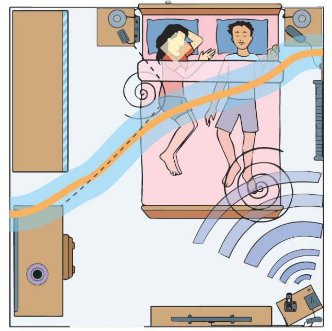 nocivites dans la chambre a coucher 1